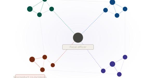 The Role of Networks in Policing